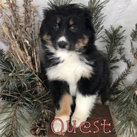 processed/0d2c4343-32e7-42b9-a680-8675387c7da8/listing/978c27c0-0dce-490b-bb32-a2ced369899a/5ad33f12-50f6-4d4a-b0f6-735a1663bc72