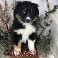 processed/0d2c4343-32e7-42b9-a680-8675387c7da8/listing/978c27c0-0dce-490b-bb32-a2ced369899a/5f10b2fa-2165-4b83-af98-ec065b4d6981