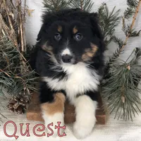 processed/0d2c4343-32e7-42b9-a680-8675387c7da8/listing/978c27c0-0dce-490b-bb32-a2ced369899a/d65f8e04-70da-43d0-9343-157d3a911f82