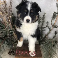 processed/0d2c4343-32e7-42b9-a680-8675387c7da8/listing/ad291f84-5f8e-4581-9bbb-938fe55b72ea/04a7bc59-9a7a-4ca5-8eee-7eda71c9e1de