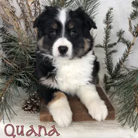 processed/0d2c4343-32e7-42b9-a680-8675387c7da8/listing/ad291f84-5f8e-4581-9bbb-938fe55b72ea/386b26e6-43c1-4784-abc5-8ed5e07eabcb