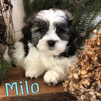 processed/0d2c4343-32e7-42b9-a680-8675387c7da8/listing/adba8525-a23b-460b-8b1e-8684e756932e/a91ec9d9-5569-420f-8f44-f05a3c4ac616