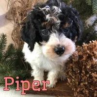 processed/0d2c4343-32e7-42b9-a680-8675387c7da8/listing/b60900b7-8192-4f7a-b733-dd803d81f983/8ba9e37a-6b45-4ed2-8b54-52a064c067b5