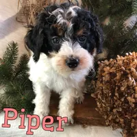 processed/0d2c4343-32e7-42b9-a680-8675387c7da8/listing/b60900b7-8192-4f7a-b733-dd803d81f983/9c376493-6270-4983-8b49-b84cab6cffdc