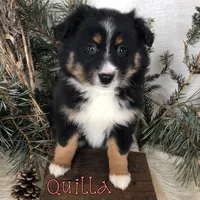 processed/0d2c4343-32e7-42b9-a680-8675387c7da8/listing/bbf15b1e-a38c-4e91-b6fe-2fafafe70073/515c67af-cc4e-4e0a-b75b-ad35f6a962c3