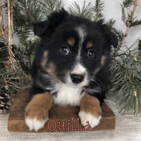 processed/0d2c4343-32e7-42b9-a680-8675387c7da8/listing/bbf15b1e-a38c-4e91-b6fe-2fafafe70073/e3ccd350-717b-4f7f-bc29-e431c581c5c8