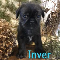 processed/0d2c4343-32e7-42b9-a680-8675387c7da8/listing/d2200507-af7b-4a26-9dd9-014e3c5ec764/3257a937-f9cf-42a9-aea0-9c9fa6304e14