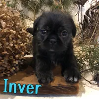 processed/0d2c4343-32e7-42b9-a680-8675387c7da8/listing/d2200507-af7b-4a26-9dd9-014e3c5ec764/581815d3-eca8-4d59-9b0c-3f59afd15021