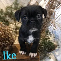 processed/0d2c4343-32e7-42b9-a680-8675387c7da8/listing/eafe4afd-a0b6-4e8e-a701-138b55d33c87/0c64c01e-fec1-4a90-86b8-30f0573e3a52