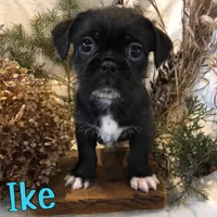 processed/0d2c4343-32e7-42b9-a680-8675387c7da8/listing/eafe4afd-a0b6-4e8e-a701-138b55d33c87/9341b653-00f2-4e31-8078-a1f199992726