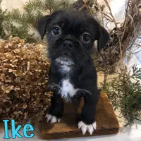 processed/0d2c4343-32e7-42b9-a680-8675387c7da8/listing/eafe4afd-a0b6-4e8e-a701-138b55d33c87/9c81d664-4389-47d9-ada3-551d1405b0ec