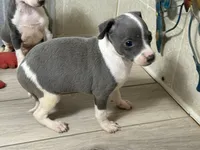 processed/0d2ec215-918d-4506-8541-909f15cb3e6c/listing/949eebf0-9516-46a2-b5f9-12f3eb3b9681/0b7aa37a-d156-47f7-864a-d776a24be372