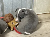 processed/0d2ec215-918d-4506-8541-909f15cb3e6c/listing/949eebf0-9516-46a2-b5f9-12f3eb3b9681/b0ef55da-ca3f-4549-9fbc-de8aa4064ad3