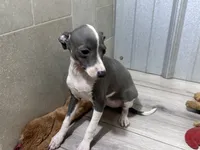 processed/0d2ec215-918d-4506-8541-909f15cb3e6c/listing/949eebf0-9516-46a2-b5f9-12f3eb3b9681/cff493c4-3074-4091-89b1-dbe043d8ef4e