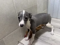 processed/0d2ec215-918d-4506-8541-909f15cb3e6c/listing/949eebf0-9516-46a2-b5f9-12f3eb3b9681/dd3d6306-6d35-4576-8d24-57e95b504789