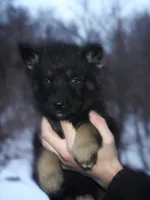 processed/0d3ab1d5-fea2-4b85-8a99-9d9b71f4ef3c/listing/d2ab9687-ec1d-4212-a2fb-396c6946ac2a/540ea1ea-bb8a-4cc5-bc00-6240a30e51d7