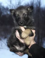 processed/0d3ab1d5-fea2-4b85-8a99-9d9b71f4ef3c/listing/d2ab9687-ec1d-4212-a2fb-396c6946ac2a/aeb5dd88-354a-4403-8aaa-f2a049956ebf