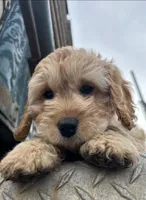 processed/0d481dc7-3066-4fe0-9ed0-3ba688e60853/listing/93814518-f5a8-43a6-b4f9-a715cb7b3971/5a8ee6b3-40a3-4590-91ae-25acda2e5600