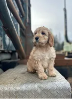 processed/0d481dc7-3066-4fe0-9ed0-3ba688e60853/listing/93814518-f5a8-43a6-b4f9-a715cb7b3971/c6e12f95-1484-43bc-920e-b47d34030cd4