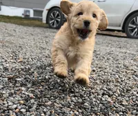 processed/0d481dc7-3066-4fe0-9ed0-3ba688e60853/listing/93814518-f5a8-43a6-b4f9-a715cb7b3971/e6da2ee5-a0ce-42a2-bf2b-641c63033e4f