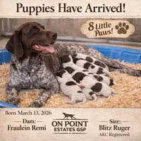 processed/0d50e8f4-2120-4202-8d1e-f70e7b28030b/facility/4182d7e3-bc63-4972-817f-b9ebf1d898be