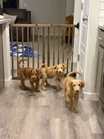 processed/0d56b759-1117-4d19-ab43-1bfdff5704ed/facility/29792521-26f3-42b5-a897-c86443b0231a