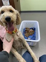 processed/0d56b759-1117-4d19-ab43-1bfdff5704ed/facility/2dcd7025-2d76-4b3e-b0f8-1a31040bfc53