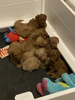 processed/0d56b759-1117-4d19-ab43-1bfdff5704ed/facility/52934ebb-e1d3-4120-ac23-2fc4cf5aa1ea