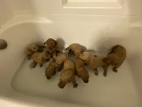 processed/0d56b759-1117-4d19-ab43-1bfdff5704ed/facility/64819acd-5c77-46f7-a690-c2d3f0458294