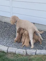 processed/0d56b759-1117-4d19-ab43-1bfdff5704ed/facility/68c8f03e-3ff5-4012-b0e5-69c5664b84b4