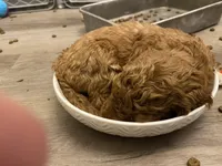 processed/0d56b759-1117-4d19-ab43-1bfdff5704ed/facility/92f0f933-f524-4849-91da-0669e7939f68