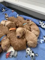 processed/0d56b759-1117-4d19-ab43-1bfdff5704ed/facility/ba0a7672-6676-4d83-a21c-2c84cde62182