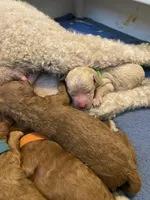 processed/0d56b759-1117-4d19-ab43-1bfdff5704ed/facility/d96751e2-b938-439c-9531-f5b7485e5ceb