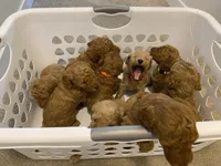 processed/0d56b759-1117-4d19-ab43-1bfdff5704ed/facility/db8a5a44-f1d6-4446-9c3e-8c6d27d148b6