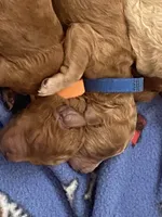 processed/0d56b759-1117-4d19-ab43-1bfdff5704ed/facility/eb40fe15-6a72-482e-ae34-0755fc33e27d