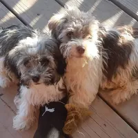 processed/0d69f46e-223c-441b-9748-1507550312ac/facility/65ce5ea4-07c0-42b6-819c-64827d204c35