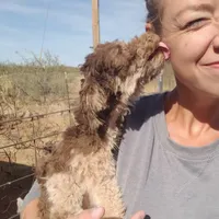 processed/0d69f46e-223c-441b-9748-1507550312ac/facility/6a1231a5-8968-4bbf-88c7-6e4cb86d8d19