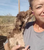 processed/0d69f46e-223c-441b-9748-1507550312ac/facility/6a1231a5-8968-4bbf-88c7-6e4cb86d8d19