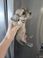 processed/0d69f46e-223c-441b-9748-1507550312ac/listing/2b47e797-9434-4d52-be9f-d749f6c504a8/080f14f3-f1c8-4f7f-9461-b4679c421a31