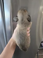 processed/0d69f46e-223c-441b-9748-1507550312ac/listing/2b47e797-9434-4d52-be9f-d749f6c504a8/3f96702c-14d3-4645-a17b-ab11ba532825