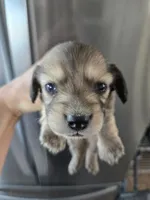 processed/0d69f46e-223c-441b-9748-1507550312ac/listing/2b47e797-9434-4d52-be9f-d749f6c504a8/4c2e81f2-21b7-4ed5-96f1-856d42a2f7ad