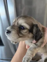 processed/0d69f46e-223c-441b-9748-1507550312ac/listing/2b47e797-9434-4d52-be9f-d749f6c504a8/722ce98a-3636-4e19-900a-eb6653c60839