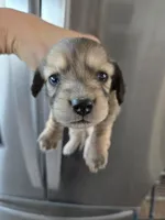 processed/0d69f46e-223c-441b-9748-1507550312ac/listing/2b47e797-9434-4d52-be9f-d749f6c504a8/92102ca4-bc18-40d2-8546-b2ef77db8d61