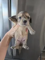 processed/0d69f46e-223c-441b-9748-1507550312ac/listing/2b47e797-9434-4d52-be9f-d749f6c504a8/b0c75180-000c-4159-a61e-919ca69d55d7