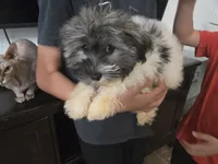 processed/0d69f46e-223c-441b-9748-1507550312ac/listing/31fe01fc-9400-4b32-9d17-9ddb35a0098a/02f349ab-a9f8-403e-8fd1-51ae03659559