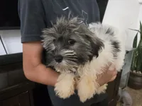 processed/0d69f46e-223c-441b-9748-1507550312ac/listing/31fe01fc-9400-4b32-9d17-9ddb35a0098a/30bdd62b-b1f9-4201-b801-5d97250c8448