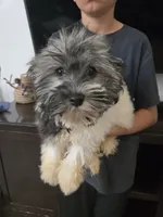 processed/0d69f46e-223c-441b-9748-1507550312ac/listing/31fe01fc-9400-4b32-9d17-9ddb35a0098a/5f131e8c-9120-4752-bc54-3c9f4a406f57