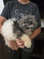 processed/0d69f46e-223c-441b-9748-1507550312ac/listing/31fe01fc-9400-4b32-9d17-9ddb35a0098a/79eb5564-01e7-4b77-9079-05c8a5e372ad