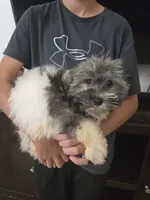 processed/0d69f46e-223c-441b-9748-1507550312ac/listing/31fe01fc-9400-4b32-9d17-9ddb35a0098a/8ecce1c4-6b7a-4e89-a15a-4917246ae51d