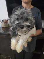 processed/0d69f46e-223c-441b-9748-1507550312ac/listing/31fe01fc-9400-4b32-9d17-9ddb35a0098a/c9986139-ab47-4d8b-ad76-b338f027757d